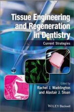 Tissue Engineering and Regeneration in Dentistry Current Strategies