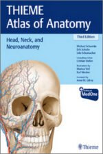 Head, Neck, and Neuroanatomy (THIEME Atlas of Anatomy) 3rd Edition