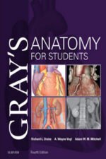 Gray’s Anatomy for Students, 4th Edition