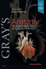 Gray’s Anatomy: The Anatomical Basis of Clinical Practice, 42nd Edition